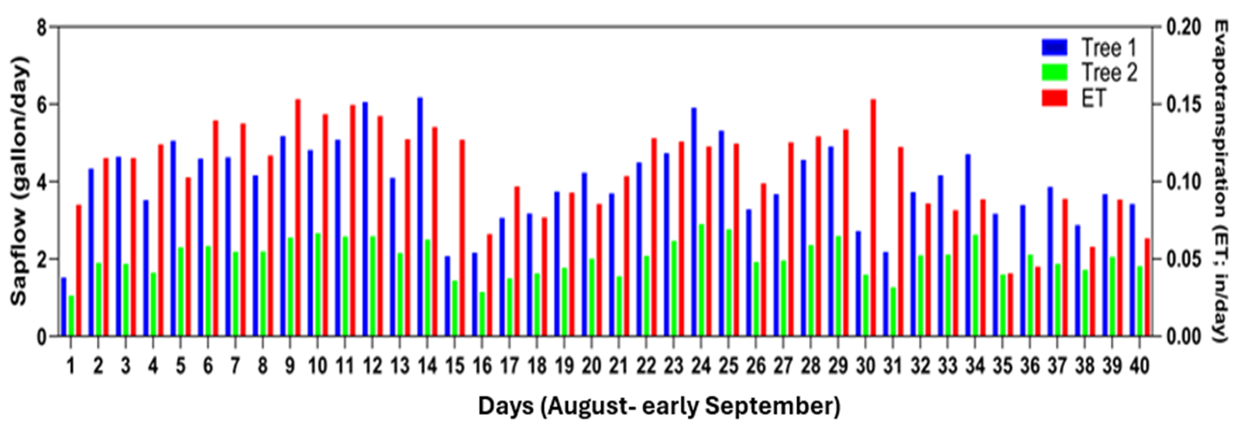 Bar chart showing daily sap flow for two chestnut trees and daily evapotranspiration over a 40-day period from August to early September. Blue bars represent Tree 1 sap flow, green bars represent Tree 2 sap flow (gallons per day), and red bars represent evapotranspiration (inches per day). Sap flow and evapotranspiration fluctuate over time, with higher values occurring mid-period and lower values toward the beginning and end of the timeframe.